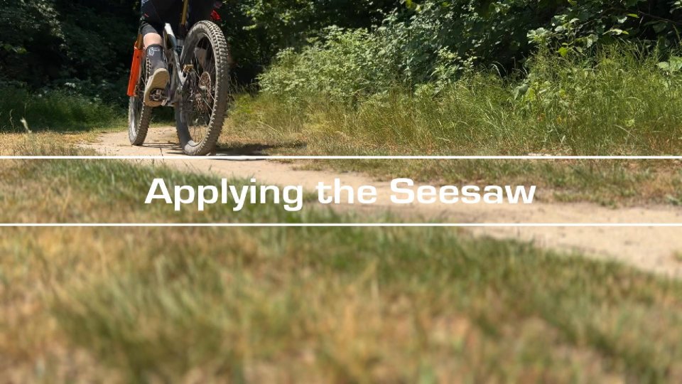 Appling Seesaw