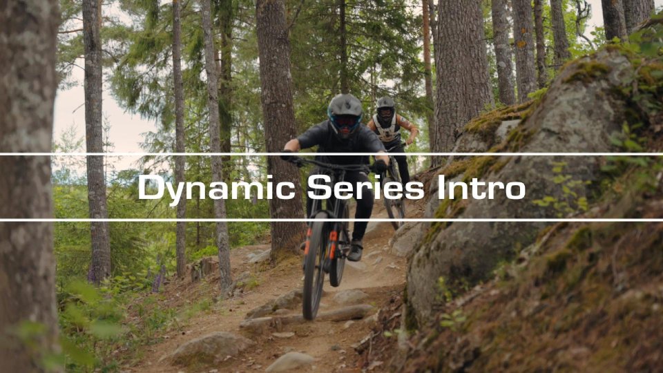 Dynamic Series Intro