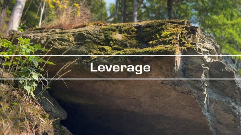 Leverage