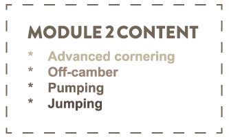 module 2 module 2