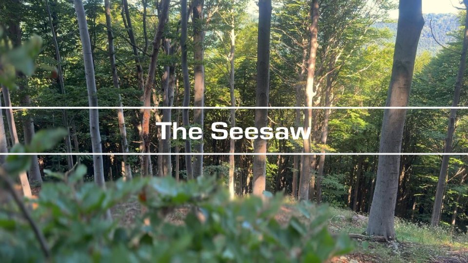 The Seesaw