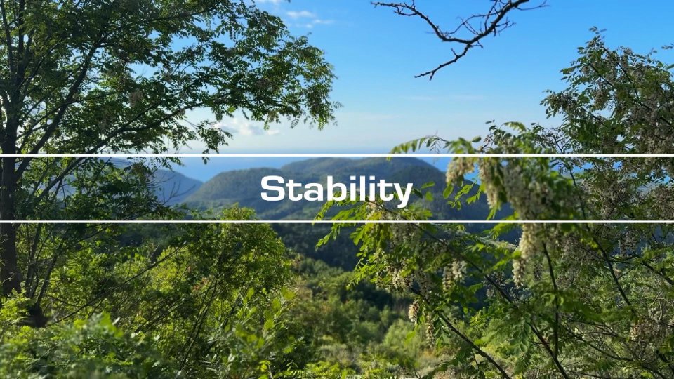 Stability